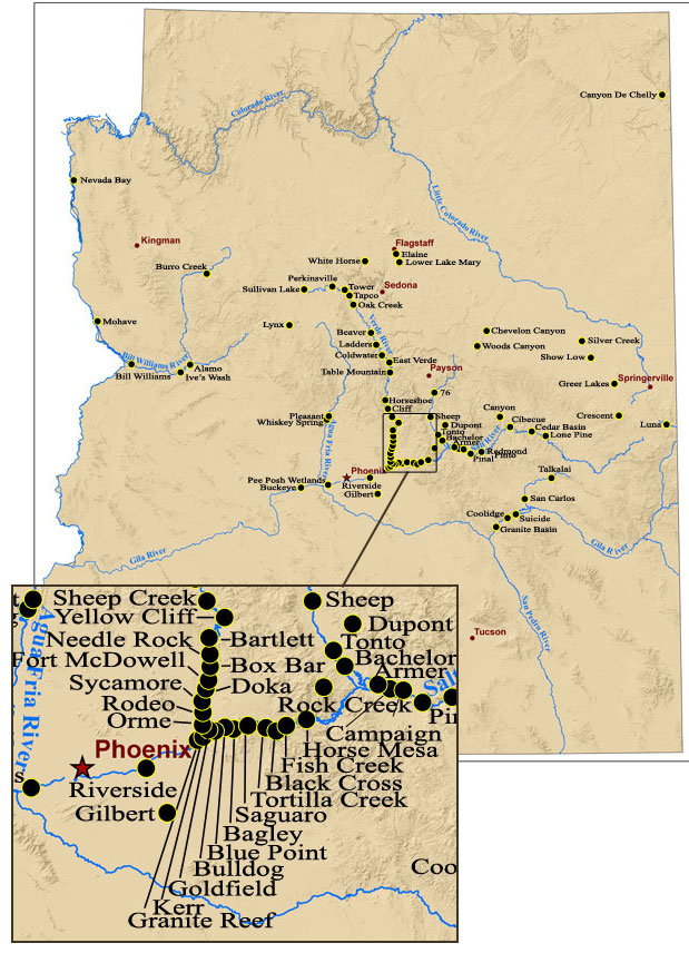 Bald Eagle Nest Locations in Arizona