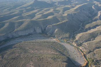 Bartlett Breeding Area