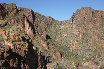 Blue Point Breeding Area