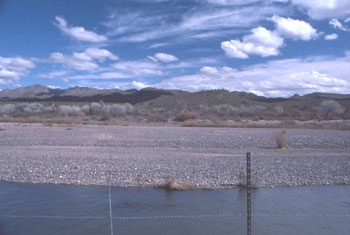 Habitat near Box Bar nest site