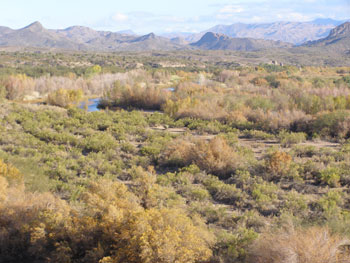 Needle Rock Breeding Area