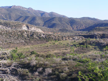 Habitat near 76 nest site 