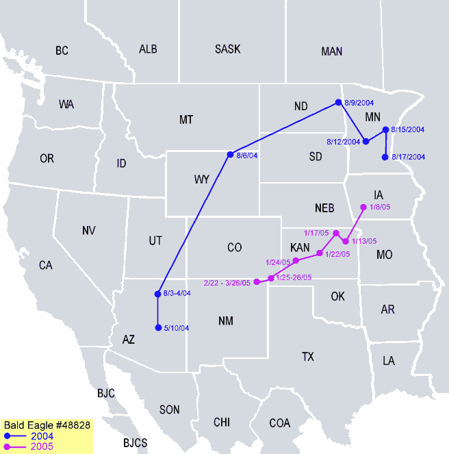 Southwestern-Arizona Sub Adult Bald Eagle Migration Map