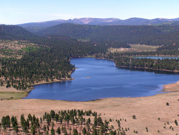 Habitat near Greer Lakes nest site