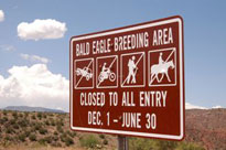 Bald Eagle Closure Sign